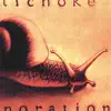 Artichoke - Evaporation